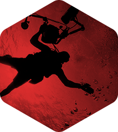 【商业授权版】正版认证的攻击网站服务器